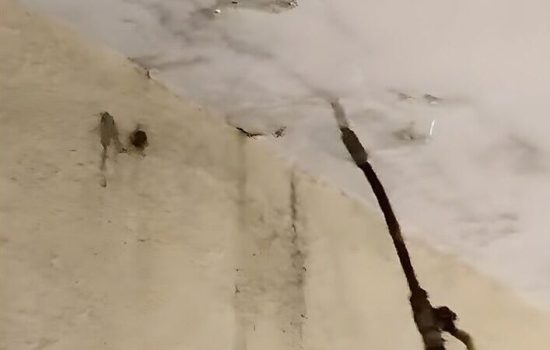 WhatsApp Image 2025-12-07 at 12.36.05 PM