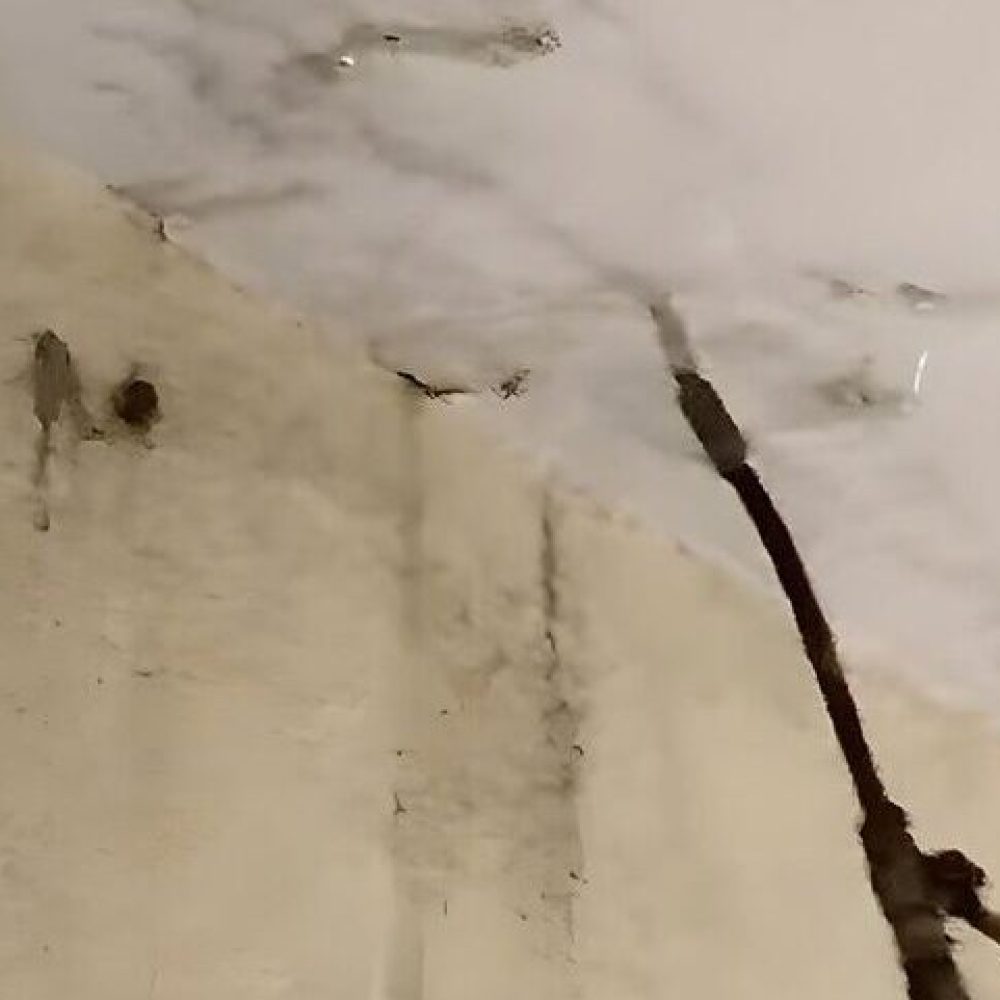 WhatsApp Image 2025-12-07 at 12.36.05 PM